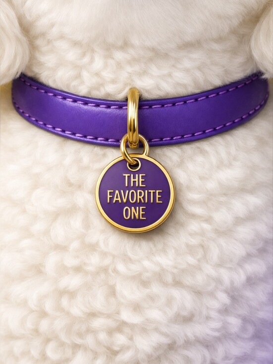 Primitives by Kathy Other - Dog/Cat Pet Collar Charm -The Favorite One, Metal Enamel SMALL .75" Diameter NIP
